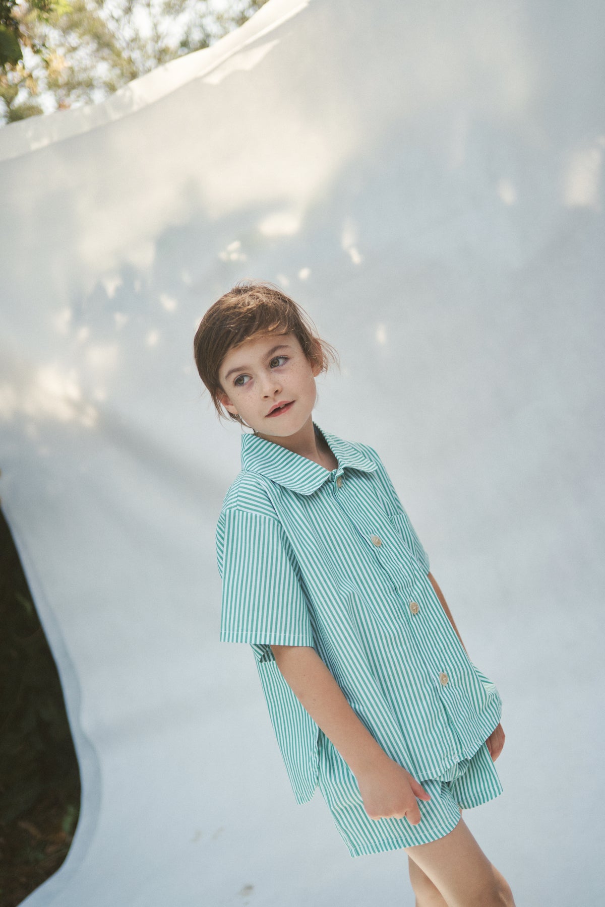 The Alva Button up Shirt - Verde Stripe