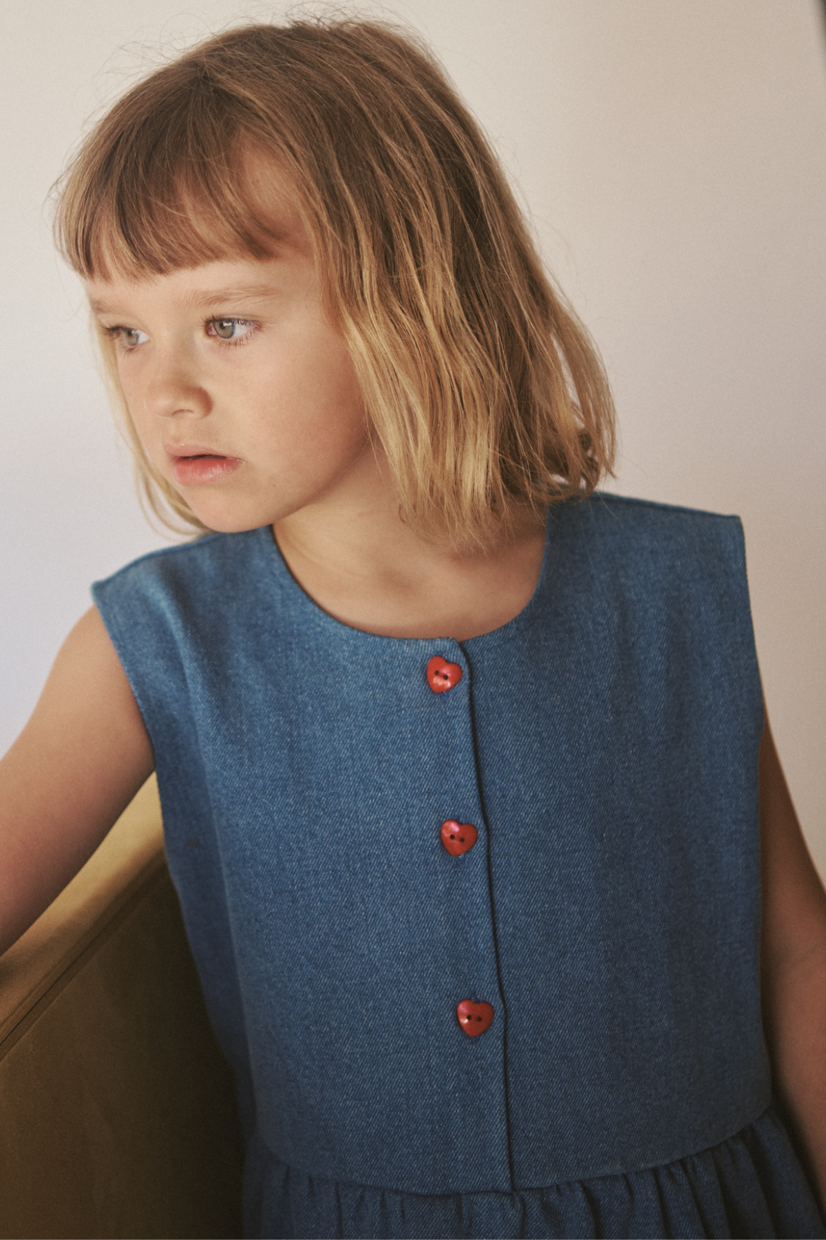 The Delphine Dress - Blue Denim