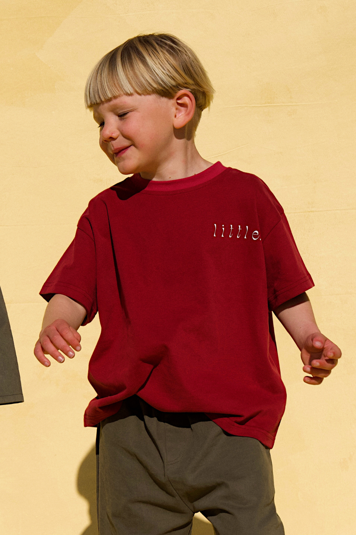 The Crazy Flag Lou Tee - Cherry Cola